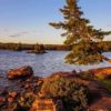 Reduce stress with this community-created art gallery